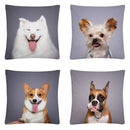 Axyaa Cute Dog Photo Polyester Cushion Cover for Home Sofa Car