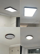 Axyaa LED Walnut Ceiling Lamp - Modern Main Light for Living Room, Bedroom, Study, Restaurant