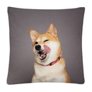 Axyaa Cute Dog Photo Polyester Cushion Cover for Home Sofa Car