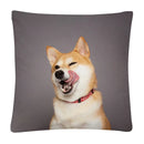 Axyaa Dog Photo Pattern Cushion Cover for Home Sofa Car Decoration