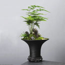 Axyaa Open Floral Arrangement Ceramic Flower Pot for Plant Accessories