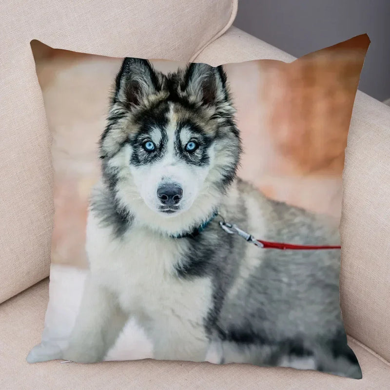 Axyaa Siberian Husky Pet Sofa Cushion Cover - Cute Dog Print Pillowcase Decor