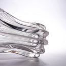 Axyaa Petal Shape Glass Vase for Flower Arrangement and Hydroponics