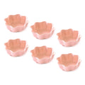 Axyaa Wheat Straw Seasoning Dish Set