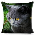 Axyaa British Shorthair Russian Blue Cat Cushion Cover - Cute Pet Animal Pillowcase