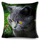 Axyaa British Shorthair Russian Blue Cat Cushion Cover - Cute Pet Animal Pillowcase