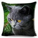 Axyaa Cat Pet Animal Cushion Cover - Cute British Shorthair Russian Blue Pillowcase