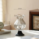 Axyaa Glass Vase: Artistic Flower Vessel for Hydroponic & Dried Flowers