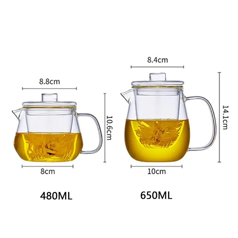Axya Glass Teapot with Strainer - Tea Infuser Kung Fu Set