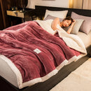 Axyaa 3-Layer Coral Fleece Winter Blanket - Warmth Quilt for Cozy Comfort