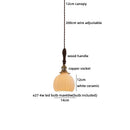 Axyaa Minimalist LED Glass Pendant Light for Coffee Loft Decor