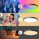 Axyaa Smart WiFi BLE Ceiling Light 24W RGB Voice Control Alexa Google Home