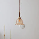 Axyaa Modern LED Pendant Lights Glass Wood Nordic Hanging Lamp