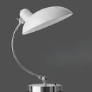 Axyaa Minimalist LED Study Desk Floor Lamp