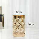 Axyaa Creative Metal Glass Vase with Golden Print - Modern Home Decor & Flower Arrangement