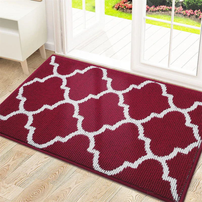 Axyaa Low-Pile Indoor Entrance Mat: Absorbent, Non-Slip & Washable Entry Rug