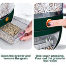 Axyaa 6 Grid Rice and Grain Dispenser Container
