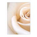 Rose Peony Flower Wall Art Painting Canvas Poster Modern Print Nordic Decor by Axyaa
