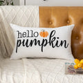 Axyaa Halloween Pumpkin Embroidered Pillow Cover Set for Home Decor
