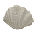 Axyaa Shell Shape Ceramic Flower Vase for Home Decor