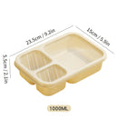 Axyaa 3-Compartment Lunch Box for Kids, Leak-proof Bento Box, Microwave Safe