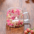 Axyaa Double Layer Glass Coffee Cup with Handle - High Temp Milk Mug