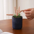 Axyaa Ceramic Flower Vase: European Light Luxury Home Decor Mini Hydroponic Ornament
