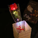 Axyaa Glowing LED Rose Flowers - Romantic Valentine's Day Gift