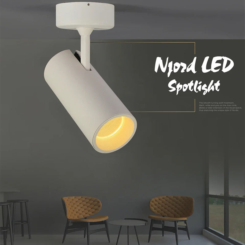 Axyaa Nordic Spotlight 12W CRI97 Anti-glare Downlight, Adjustable Angle, Living Room Bedroom