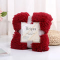 Axyaa Cozy Faux Fur Reversible Throw Blanket: Soft Plush Fluffy Blanket for Couch