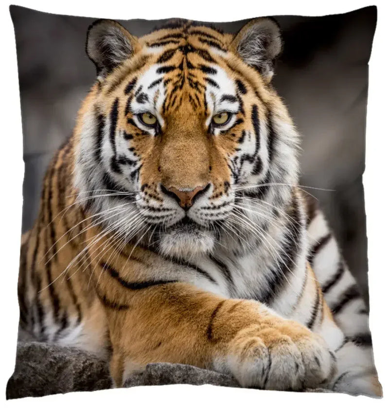 Axyaa 3D Animal Themed Cushion Covers (18" x 18") - Cute Designs