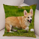 Corgi Pembroke Dog Pattern Pillowcase by Axyaa - Decorative Print for Home Shopping