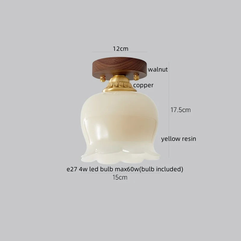 Axyaa Copper Glass LED Ceiling Lamp - Modern Indoor Lighting Fixtures