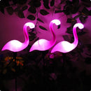 Axyaa Flamingo Solar Garden Lights: Waterproof LED Stake for Outdoor Pathway Decor
