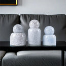 Axyaa Glass Vase with Cover for Flower Arrangements and Hydroponic Display