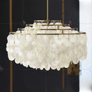 Axyaa Modern Luxury Shell Chandelier: Gold/Chrome Pendant Light for Living Room, Restaurant & Bedroom.
