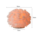 Axyaa Feather Table Lamp: Elegant Decoration for Home, Living Room, Bedroom