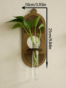 Axyaa Wood Wall Vase Green Plant Holder Home Decor Bouquet Tube Orb Decor