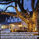 Axyaa Solar String Lights - Outdoor Fairy Lights, Waterproof, Copper Wire, 20/50/100LED