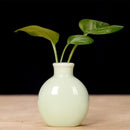 Axyaa Mini Ceramic Vase 7.5x6cm Desktop Decoration for Home Décor and Props