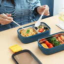 Axyaa Stainless Steel Lunch Box: Portable Microwavable Bento Food Storage, 1/2 Layers Grids