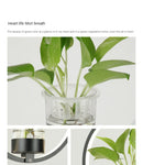 Modern LED Plant Pot Pendant Lights for Home Decor by Axyaa