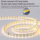 Axyaa Nordic Ceiling Light for Home Indoor Lighting in Bedroom, Living Room, Dining Area