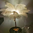 Axyaa Luxury Ostrich Feather Floor Lamp: Perfect for Decor and Live Broadcasts