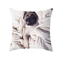 Axyaa Pug Dog Pillow Case 45*45CM Cute Dog Decorative Cover