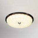 Axyaa Nordic Smart LED Dimmable Ceiling Light for Home Decoration