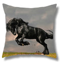Fine Horse Print Cushion Cover for Home Decor by Axyaa