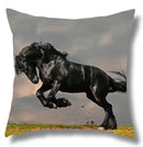 Fine Horse Print Cushion Cover for Home Decor by Axyaa