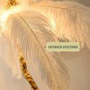 Nordic Ostrich Feather Floor Lamp by Axyaa: Modern Luxury LED Table Light for Home Decor