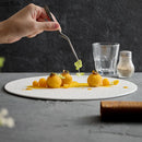 Axya Ceramic Meteor Shower Plate Set • Pure White Restaurant Tableware